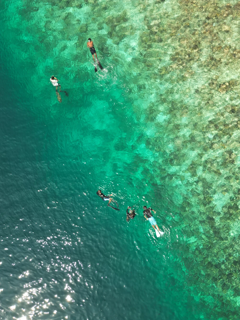 Snorkelling with Desert Island (Huraafaru)