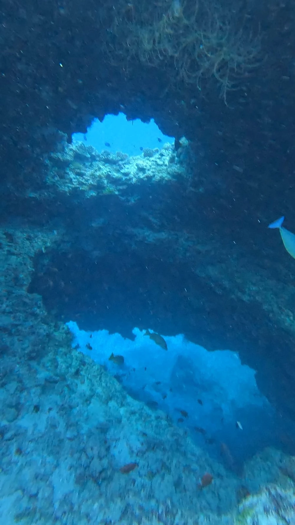 Cave Point Snorkelling (Blue Hole)