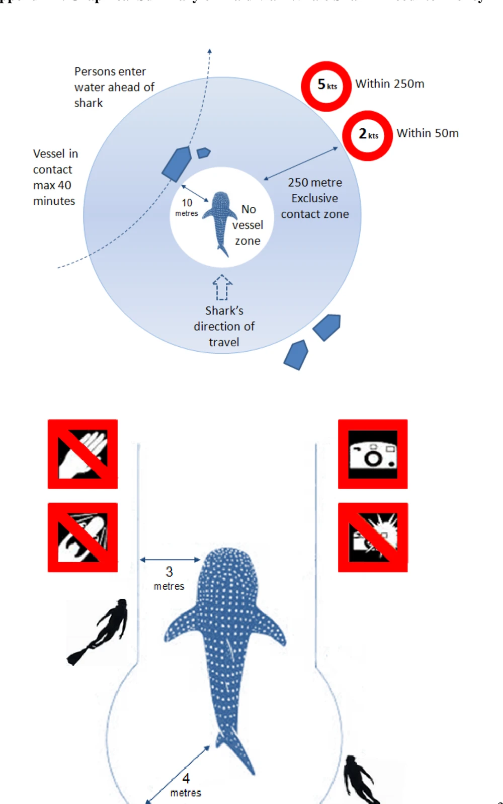 Schwimmen mit Walhaien auf den Malediven: Die Regeln, die jeder Besucher kennen sollte — figure 1